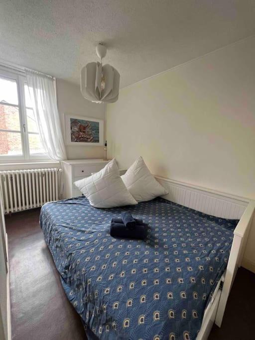 Ravissante Maison De Pecheurs Trouville Proche Centre Et Gare 外观 照片